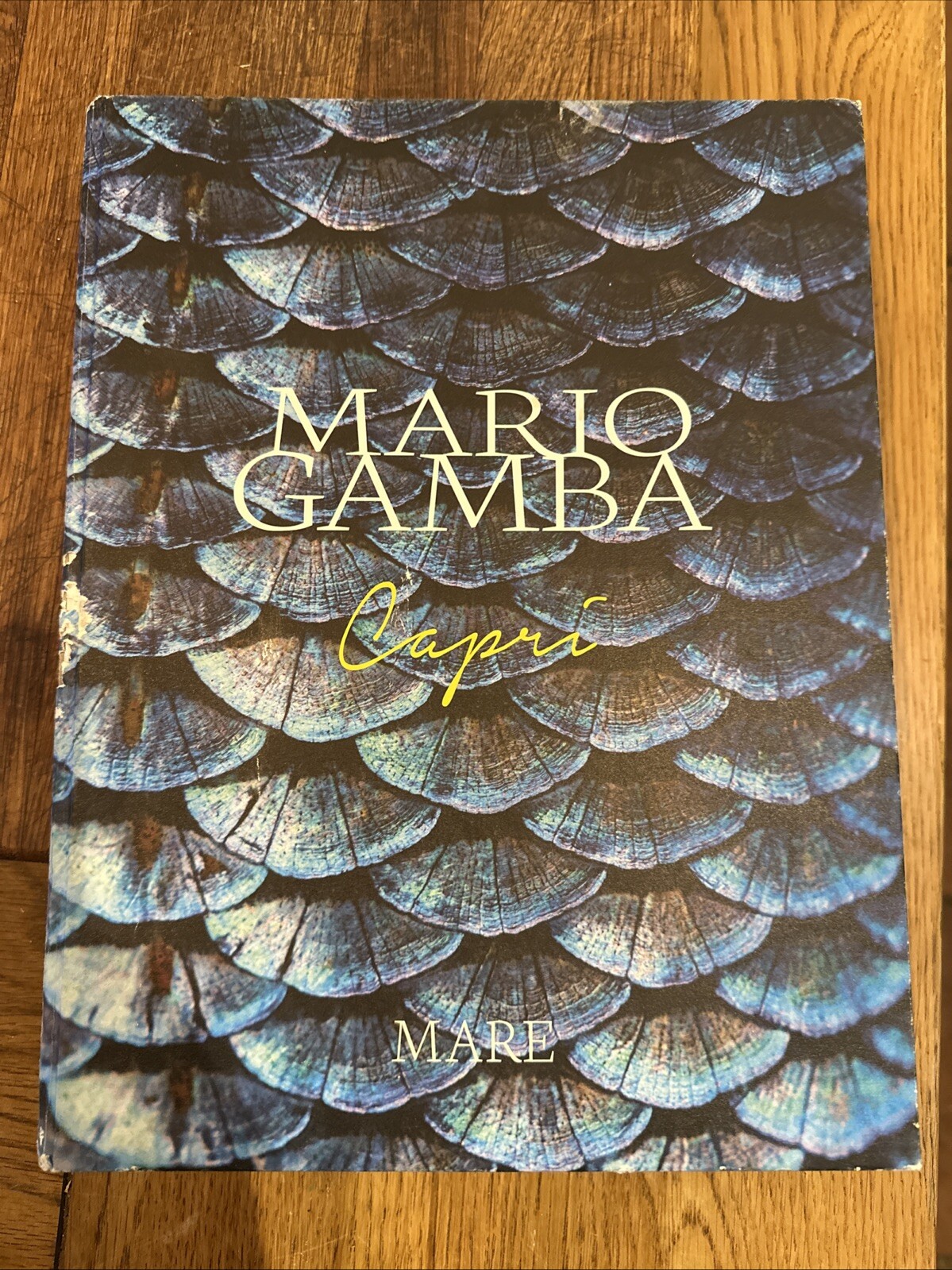 Capri by Mario Gamba Hardback Limited First Edition Book
