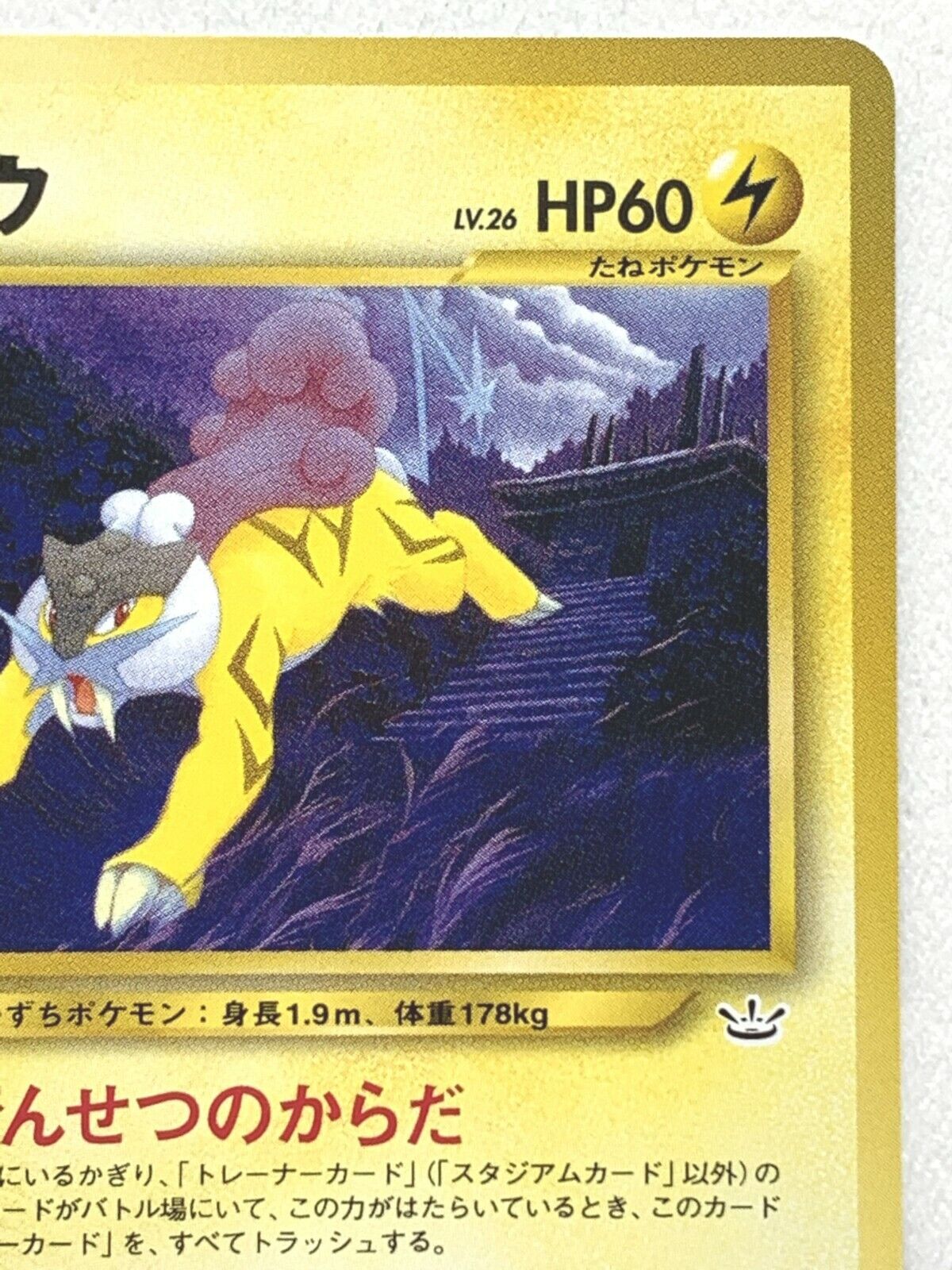 Pokémon - (243) Raikou