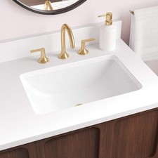 Signature Hardware 498227 Mangrove 18" Vitreous China Undermount Bathroom Sink w