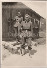 4 x Foto Arbeitsdienst 6/371, Lindava (Lindenau) Böhmisch Leipa Sudeten, 8 D/116