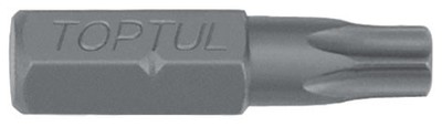 TORX TAMPER 1 - 4 Schraubendrehereinsatz (Bit) T20H