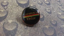 Hanimex Vivitar vintage pin badge
