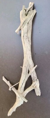 Eichen - Ast getrocknet -- Maße: 51 x 17 cm -- Deko, Aquarium, Wandgestaltung