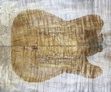 5A Telecaster Guitar Top Ripple Spalted Maple Bookmatched Wood Luthier Supply