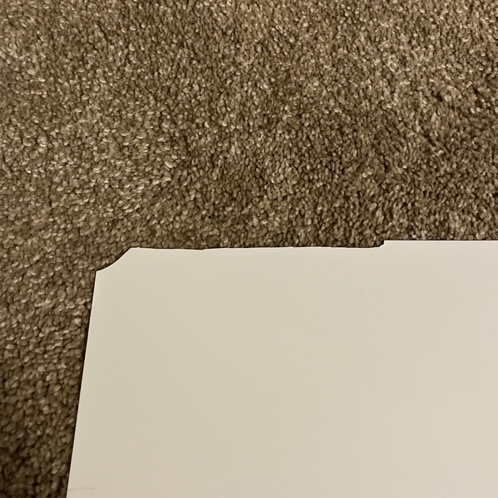 Picture 8 of 10