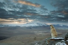 Landscape nature photography winter mountains sunset Custom Gaming Mat Desk