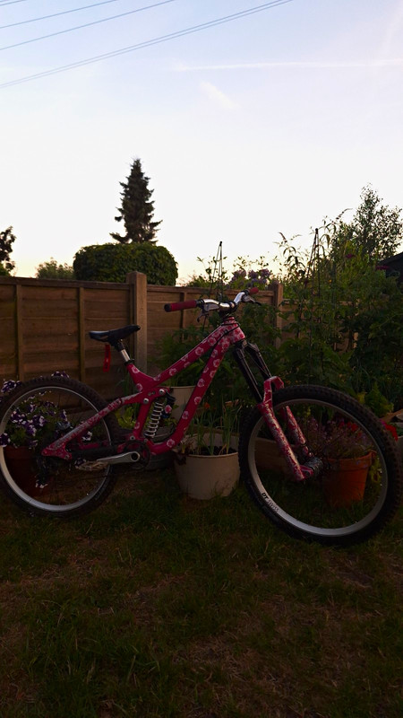 Custom Built Norco Aurum A7.1