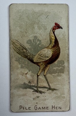 1891 N20 Allen & Ginter Prize Game Pile Game Hen 127E