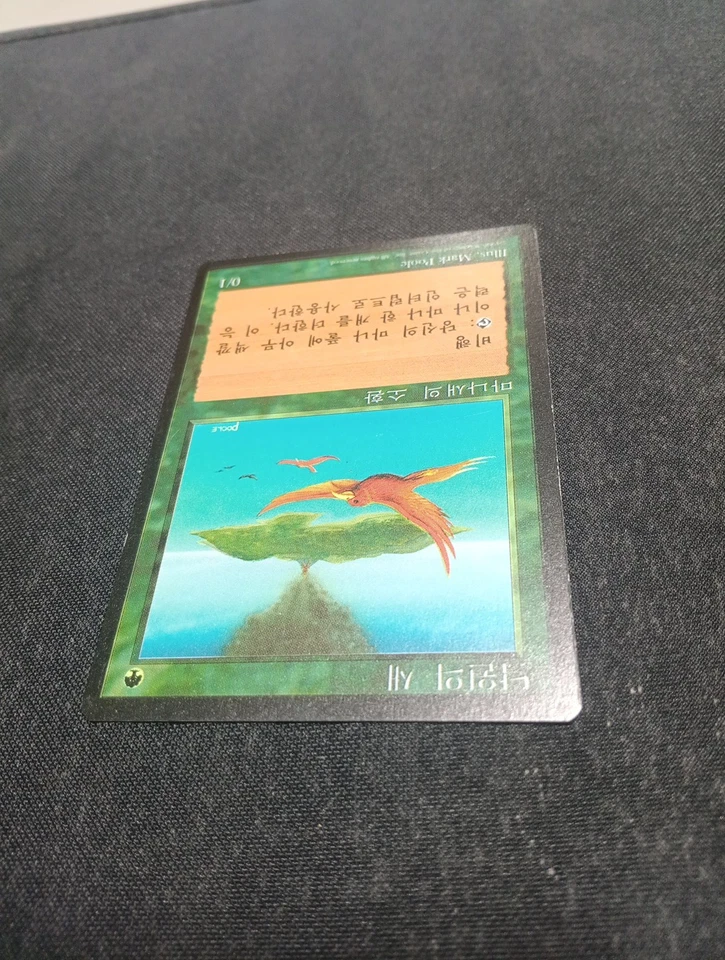 Birds of Paradise Fourth Edition Foreign Black Border Korean Near Mint LP - Image 4 of 4