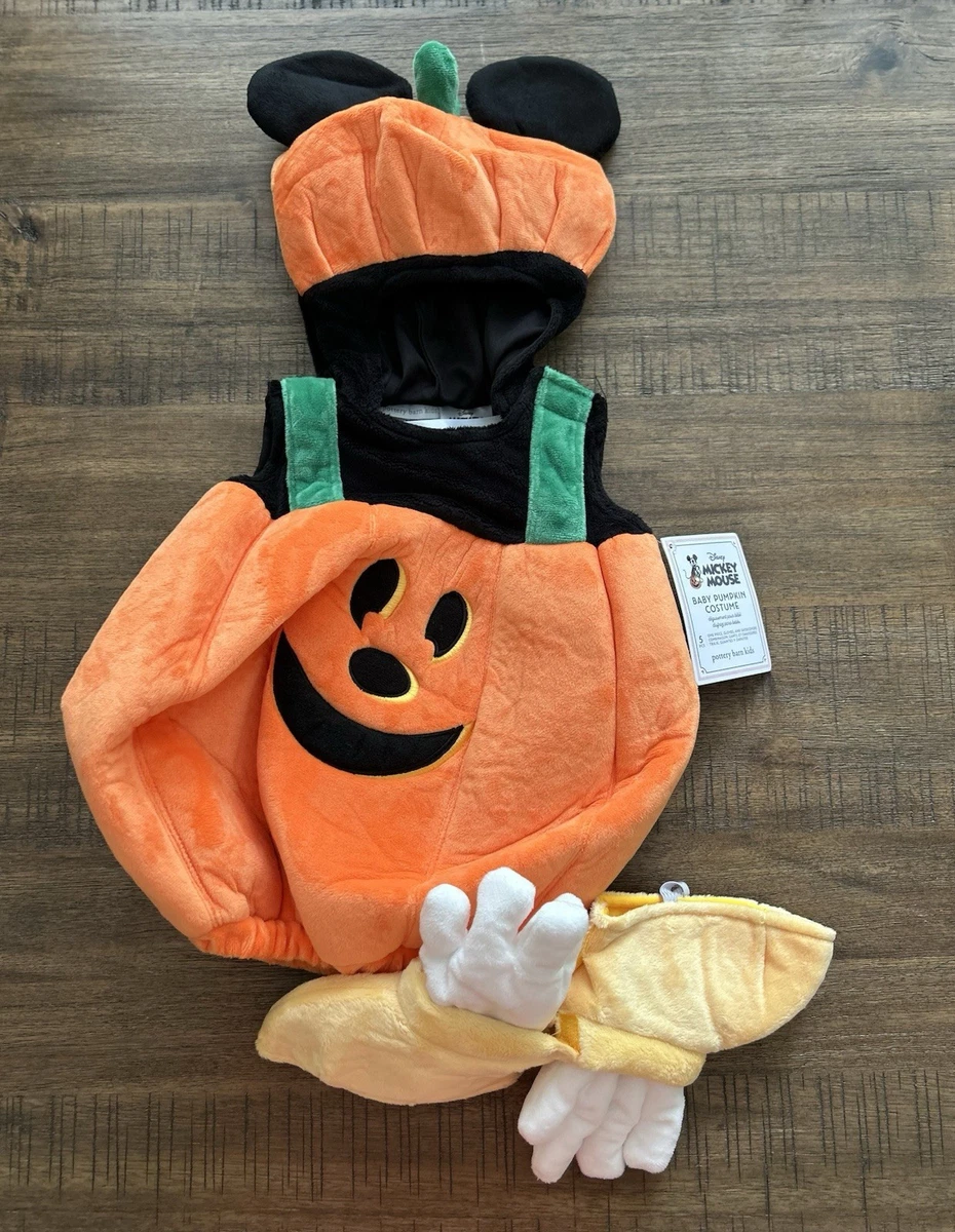 Pottery Barn Pumpkin Costumes for sale | eBay