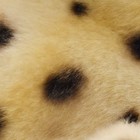 Bild 7 von 8