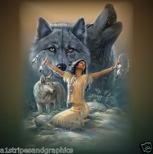 30x30 Indian Wolf Rv Trailer Or Wall Mural Decal Decals Graphics Sticker Graphic