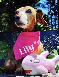 monogrammed dog bandana