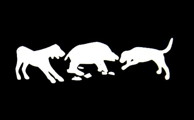 Boar Hog Hunter with Dogs Vinyl Decal 