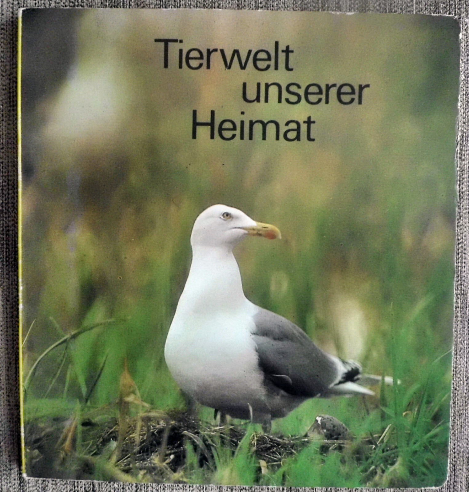 Bild 1 von 4