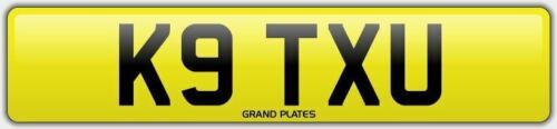 K9 DOG PUPPY HOUND Number plate K9 TXU NO ADDED FEES DOGGY WALK WOOF DOGS X U - Picture 1 of 3