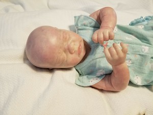 bountiful reborn baby