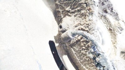 Opel Insignia 2009 ABS Sensor (ABS WHEEL SPEED SENSOR) front left  #1696231-31