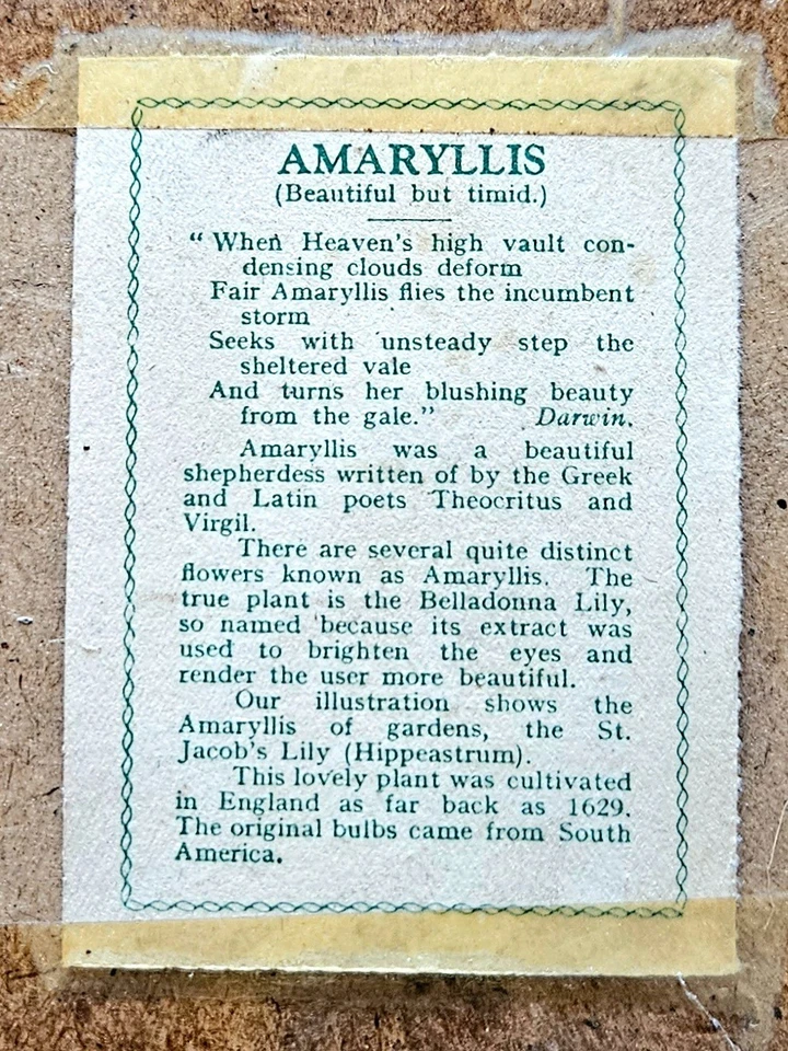 1930s Kensitas Silk Flower cigarette cards nine 9x8 inch framed - Image 2 of 4