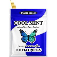 Mint Flavored Toothpicks 200ct 200 Count Pack of 1 
