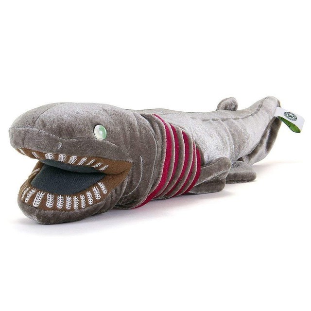frilled shark plush