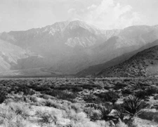 8" x 10" Photo 1925 Mt. San Jacinto graphic / Willard
