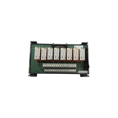 ALLEN BRADLEY 1492-XIM20120-8R SER. C 96-132VAC NSNP