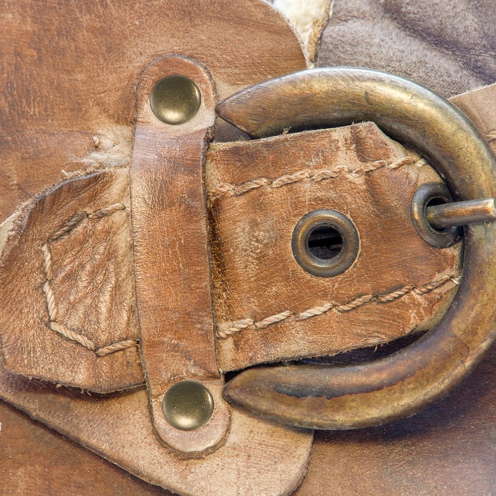 APL 20 Pezzi Rivetti Riparazione Scarpe Uomo Ganci per Parete Stringere La Fibbia Stivale