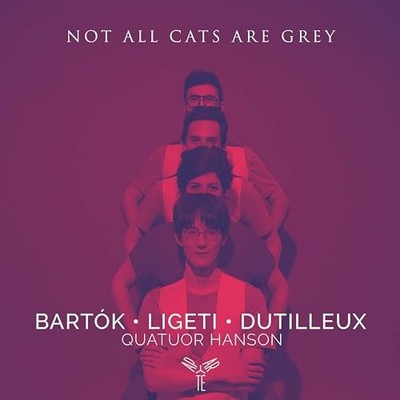 QUATUOR HANSON - NOT ALL CATS ARE GREY AT NIGHT - CD ALBUM - E123z