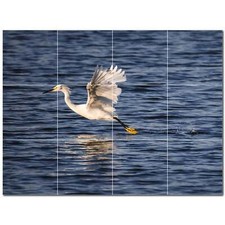 Bird Ceramic Tile Wall Mural PT500153. 17" W x 12.75" H 12 4.25 tiles