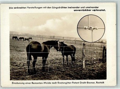 13947993 - 2500 Rostock knot grid patent wire Bremen pasture horse