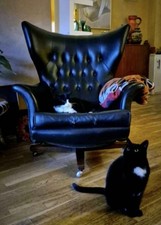 Midcentury Iconic G Plan Blofeld 6250 Black Vinyl Armchair