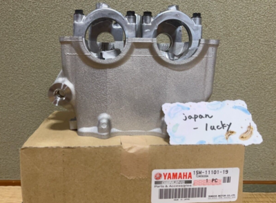 2017-2019 Yamaha YZ250F YZ250FX WR250F Cylinder Head