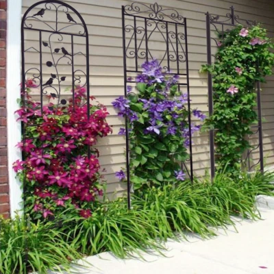 2 pezzi Griglia per rampicanti in metallo supporto per rampicanti 200 cm griglia per piante giardino traliccio resistente alle intemperie