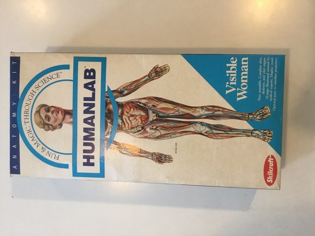 SkilCraft - Visible Woman Humanlab Anatomy Kit #4623 - Mint for sale online