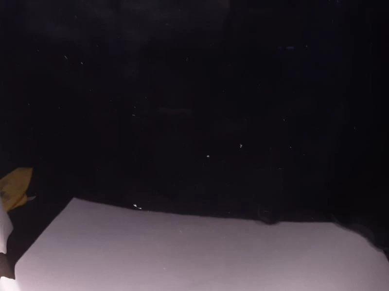 Capô 09-11 JAGUAR XF, com dobradiças  - Imagem 4 de 4