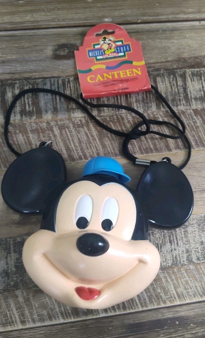 Disney Mickey Mouse Mickey's Stuff for Kids Canteen Water Bo