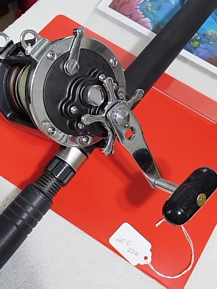 Caña de pescar de arrastre Daiwa Saltist 6'6" MH 15-30 lb y carrete Sealine 400H Foto 3 de 4