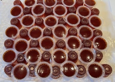 Brown Sugar Beetle Jelly 16gr Pod Pet Food For Reptiles Queen & Insects Ant Farm