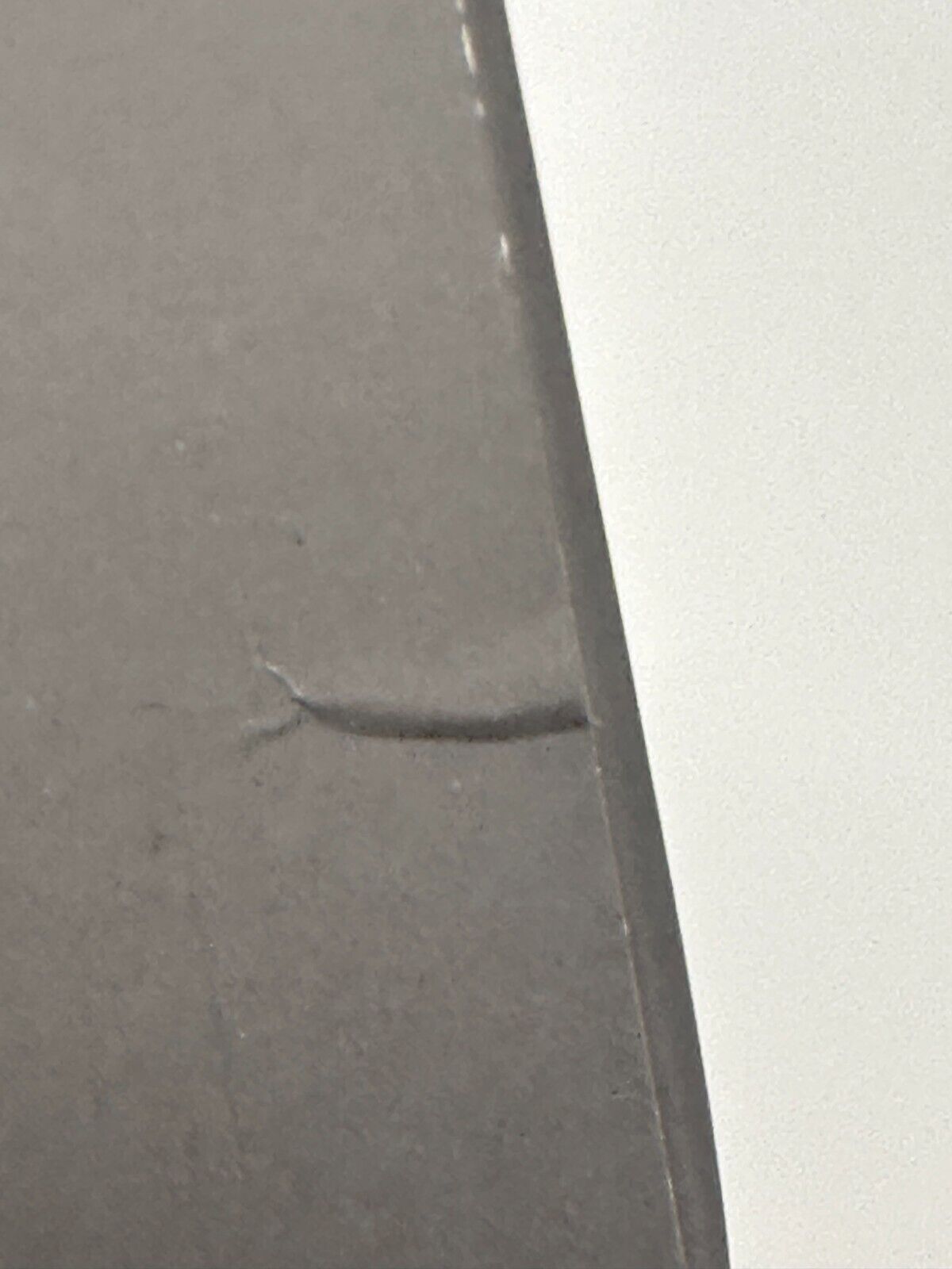 Picture 10 of 12