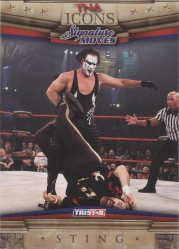 WWE TRIPLE HHH & ICON STING DUAL SIGNED AUTOGRAPHED 8X10 PHOTOFILE