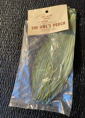 Long Leaf Fronds Leaves Arts Crafts Owl's Perch Thunderbird Mall 13 in Package