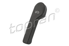 Capot Audi 75