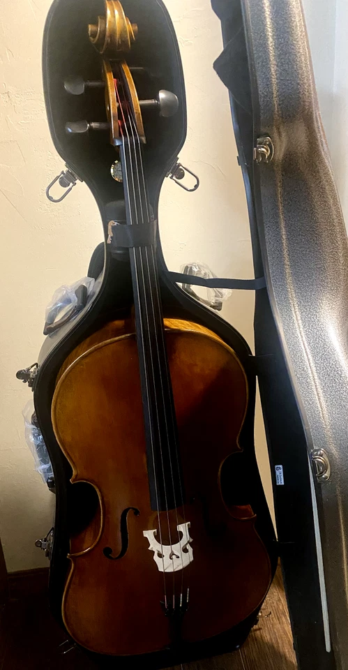 Eastman Strings Cello 4/4 with hard case - Image 2 of 4