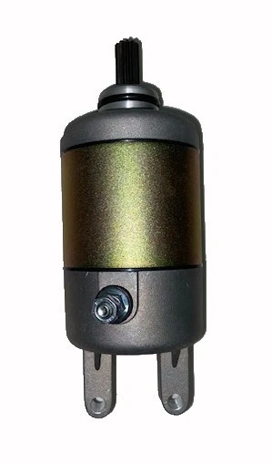 Motor De Arranque Para Yamaha YP250 Majesty para SKYLINER YP250 R RA X-MAX 250 YP Foto 2 de 4