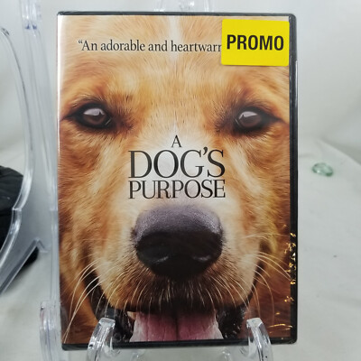 A Dog's Purpose DVD adorable and heartwarming family movie
