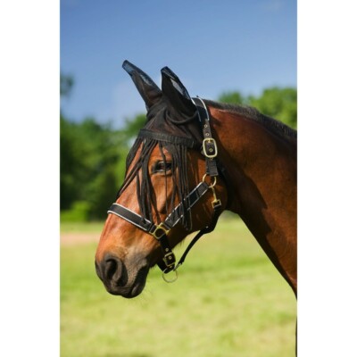 EQUITHEME Mesh Mütze mit Fliegenfänger Schwarz Ponygröße