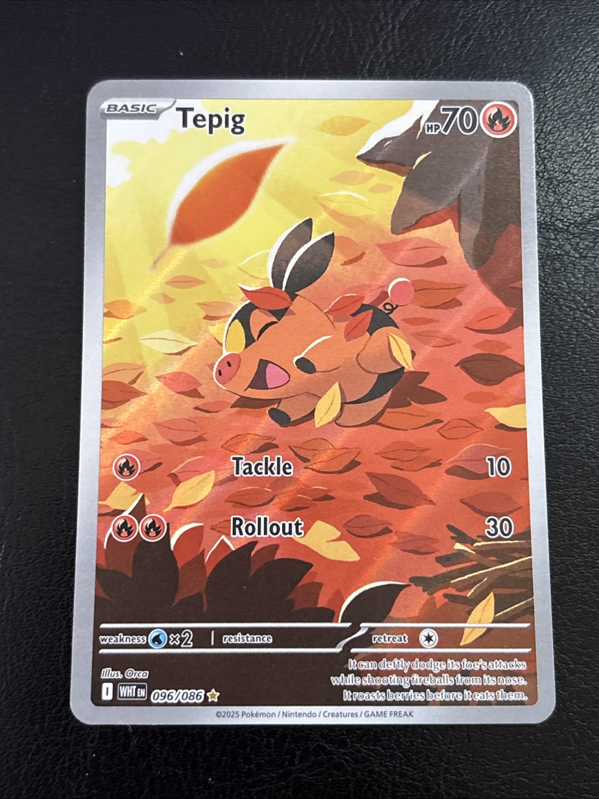 Tepig 096/086 Pokemon TCG Sv: White Flare Holo Near Mint Card