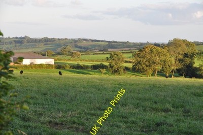 Foto A2 Mid Devon: Grassy Field Templeton\/SS8814 Eine Wiese bei c2011