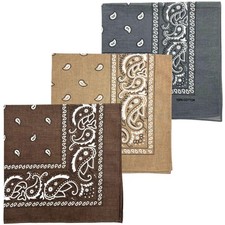3 PCS 100 Cotton Bandana for Men Women 22 x 22 Paisely Pattern Handkerchief ...